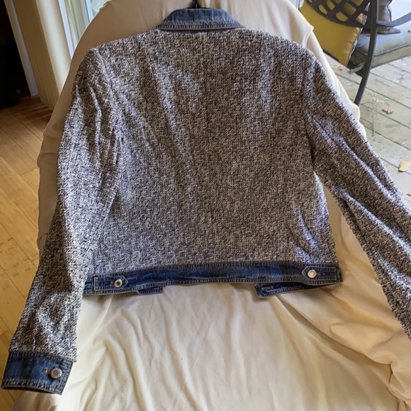 Dolce&Gabbana Stunning Logo Jacket NeverUsed - Picture 6 of 11